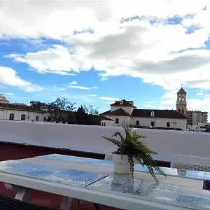big-and-cozy-apartment-with-a-big-terrace-in-the-center.1costadelsol.com/